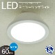 LED�ߥ˥�����󥰥饤�� 60�� 960�롼��� �������LE-Y9DG-W 06-5504