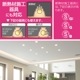 LED�ŵ微��E17 60������ ����� 2������LDA6D-G-E17 RA 2P 06-5568