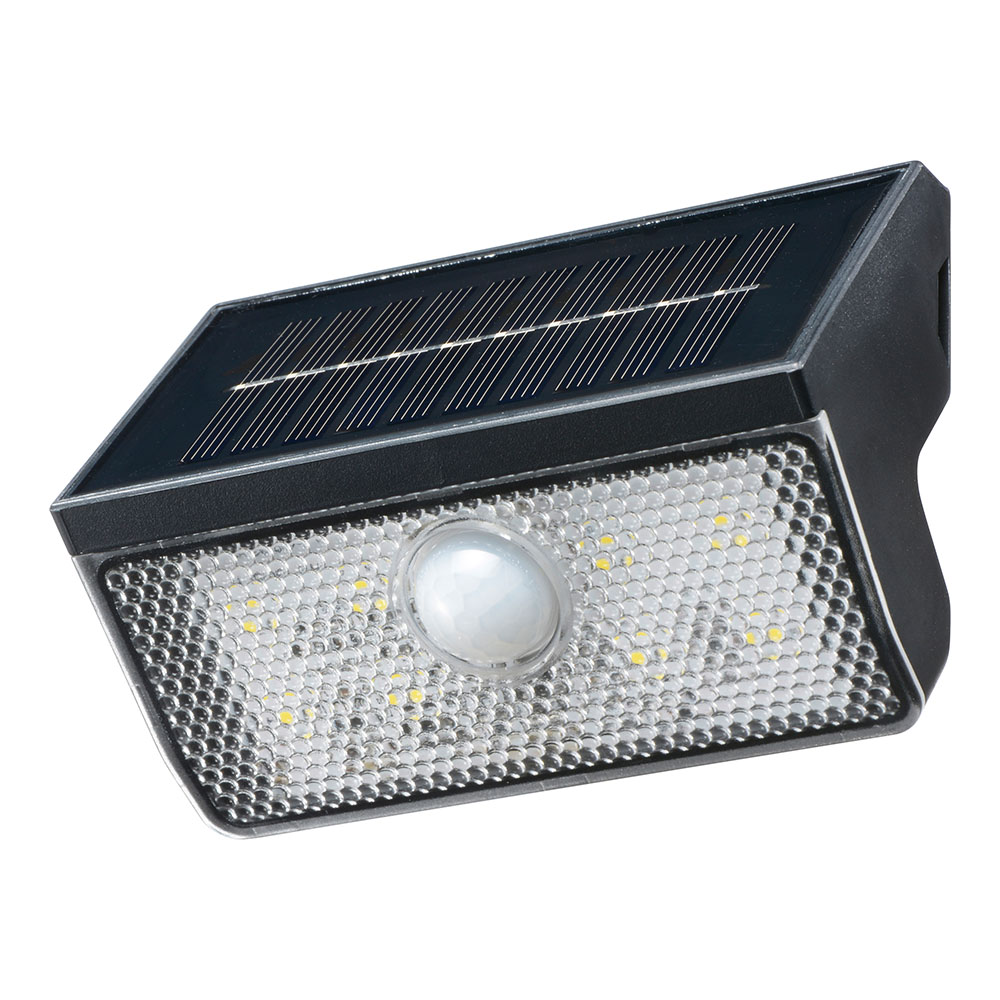 �����顼��������饤�� 100�롼����LT-SO10DW 06-5270