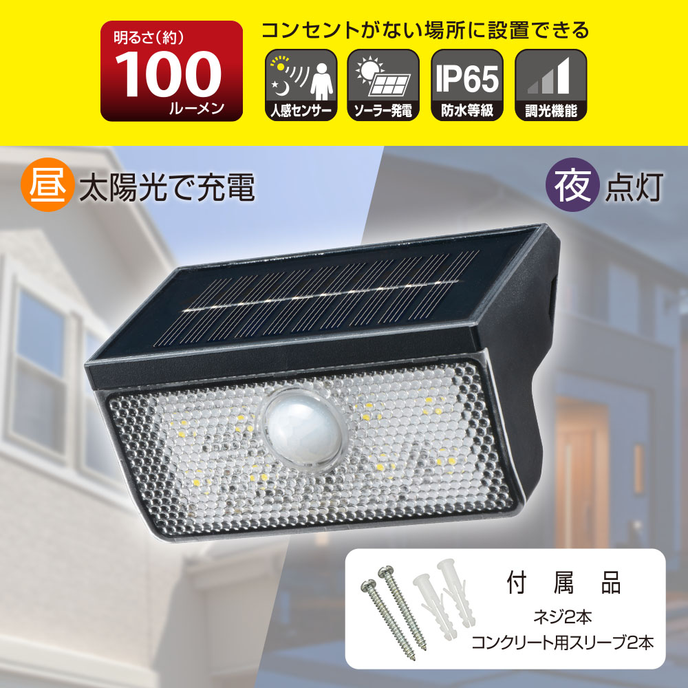 �����顼��������饤�� 100�롼����LT-SO10DW 06-5270