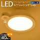 LED�ߥ˥�����󥰥饤�� ���󥵡��դ� 40�� 600�롼��� �ŵ忧��LE-Y6LG-W-PIR 06-5507
