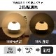 LED���å��饤�� 2�ʳ�Ĵ����TT-Y06T-WL 06-0149