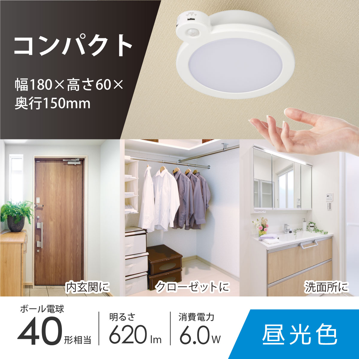 ヤングオイスターLEDライト 公式】ディズニーストア.jp | ヤングオイスターグッズ 2025