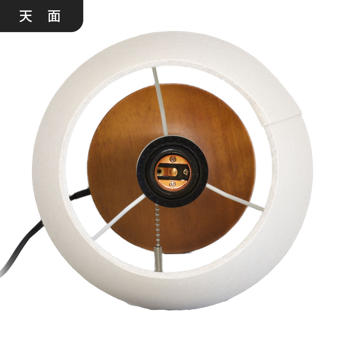 ơ֥륹  ֥饦 ŵTT-YN26MAW-T 06-3810