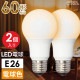 LEDŵ E26 60 ŵ忧  2LDA7L-G AG52 2P 06-4707