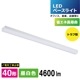 LED�١����饤�� �ȥ�շ� 40�� 4600lm ���򿧡�LT-BS4400C08N-N 06-4254