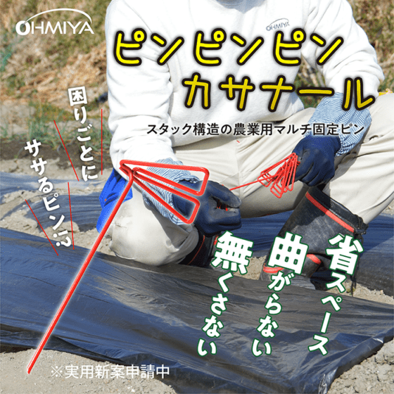 MS-7710 ピンピンピンカサナール