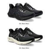 å asics GT-2000 13 EXTRA WIDE 1011B863  ˥󥰥塼