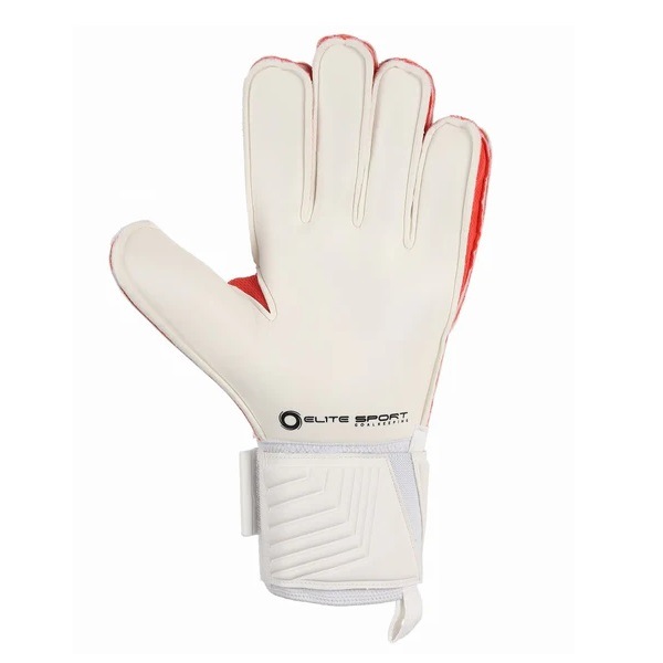 ꡼ȥݡ ELITE WP ELG25805-WHT(ۥ磻) ѡ