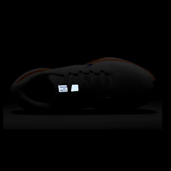 �ʥ��� Nike ������� ���������� �ڥ�����41FP �֥롼�ץ��� HF7362-900(�ޥ�����顼/�ޥ�����顼) ��ǥ��������˥󥰥��塼��