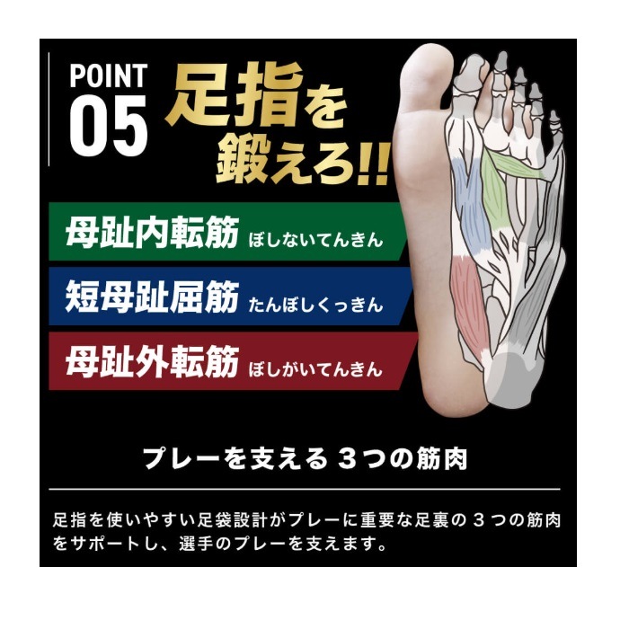 ƥХ PRO֥륨å 26.0-29.0cm HRD1060  ݡĥå˥󥰥å