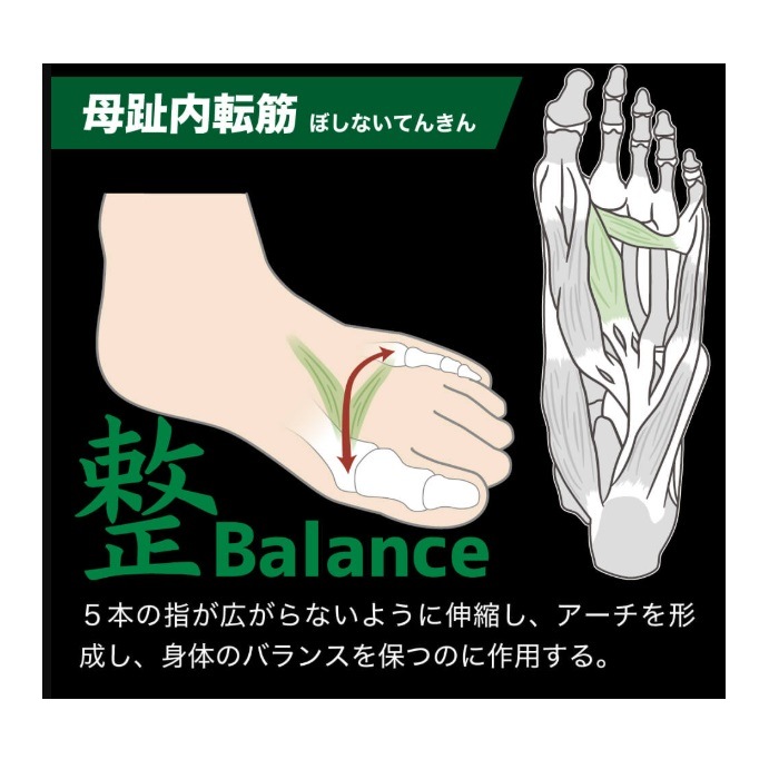 ƥХ PRO֥륨å 26.0-29.0cm HRD1060  ݡĥå˥󥰥å