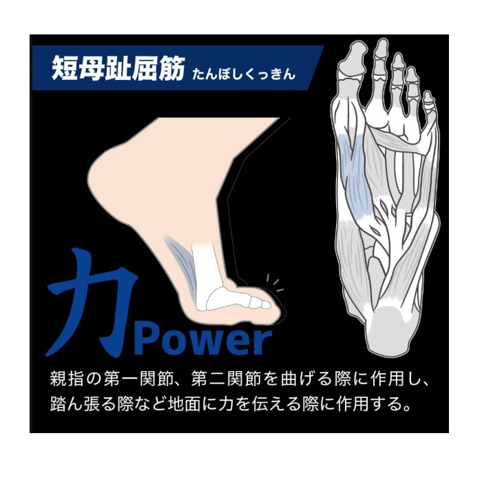 ƥХ PRO֥륨å 26.0-29.0cm HRD1060  ݡĥå˥󥰥å