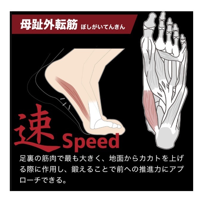 ƥХ PRO֥륨å 26.0-29.0cm HRD1060  ݡĥå˥󥰥å