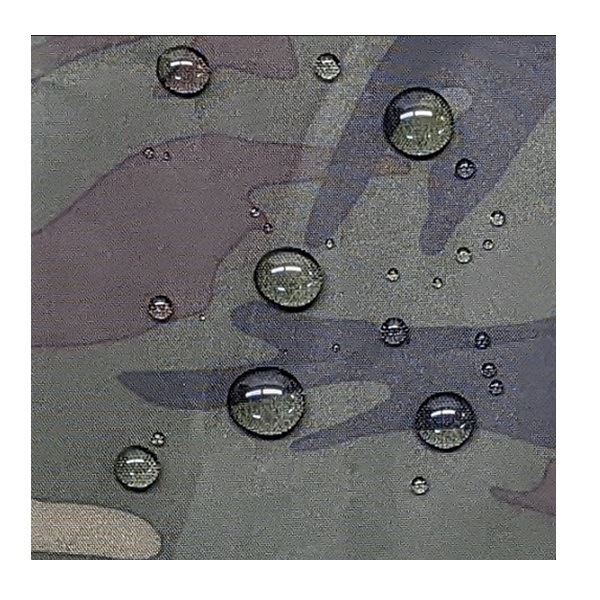 䥬 JAGUY ץȥ쥤ݥ JAG1930 쥤󥦥