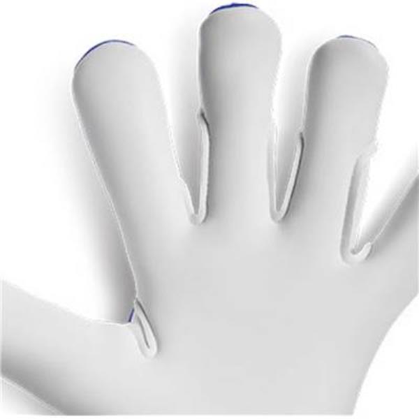 ꡼ȥݡ ELITE REVOLUTION II COMBI ELG24802-BLU(֥롼) ѡ