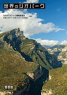 �����Υ����ѡ���