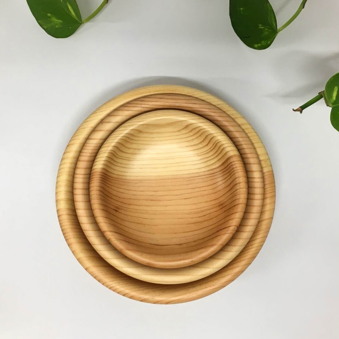 大野木工 保育小皿 箱なし｜ひろの商店の通販サイト