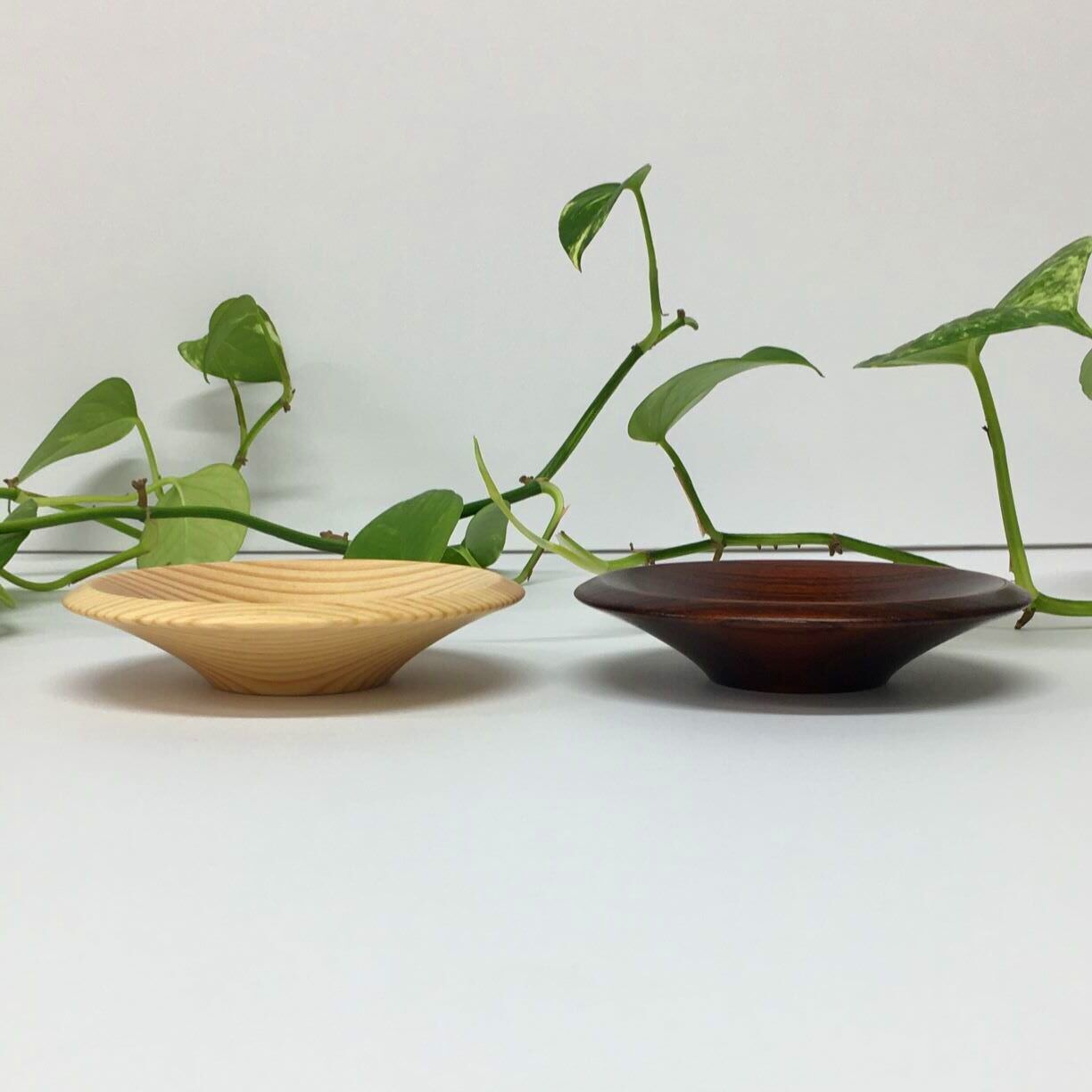 大野木工 茶托 箱なし｜ひろの商店の通販サイト