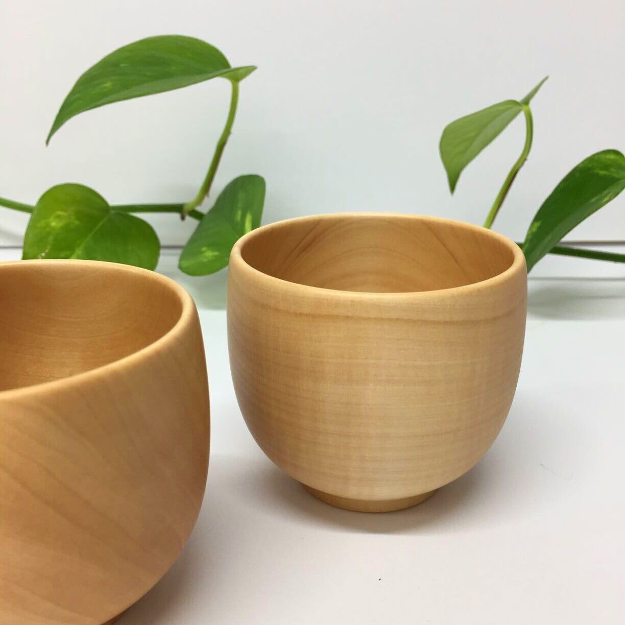 大野木工 フリーカップ 箱なし｜ひろの商店の通販サイト