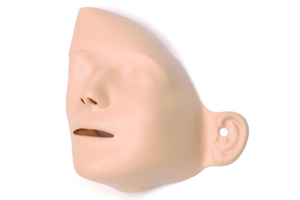 ޥͥեʥȥ륢6ڥ᡼ʡ