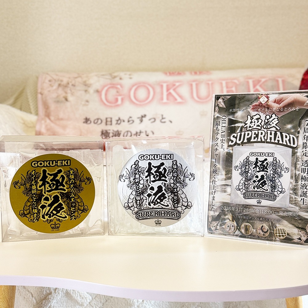ポーセラーツ　金液セット　値下げしました 13_000000000263.jpg?1789540401