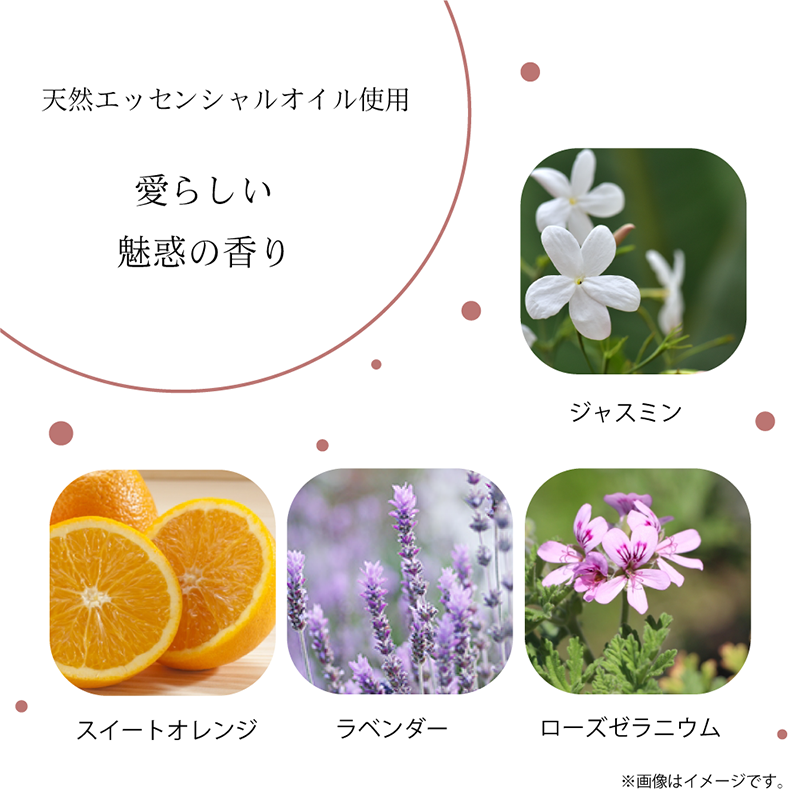 ����������åץȥ꡼�ȥ���