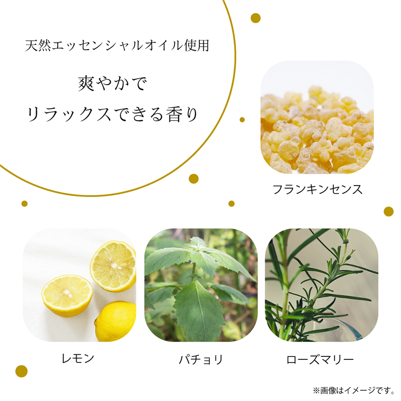 �������åץȥ꡼�ȥ���