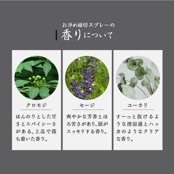 ��������ڥ��ץ졼