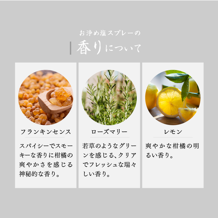 ����������ץ졼BIG