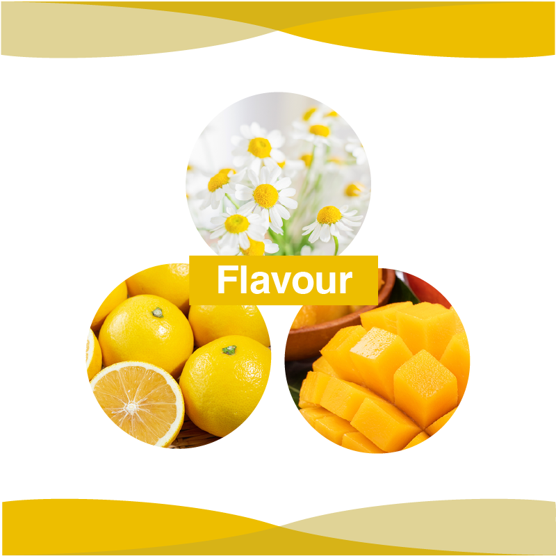 ������������åȥ��ݡ��ȥ��꡼��10������