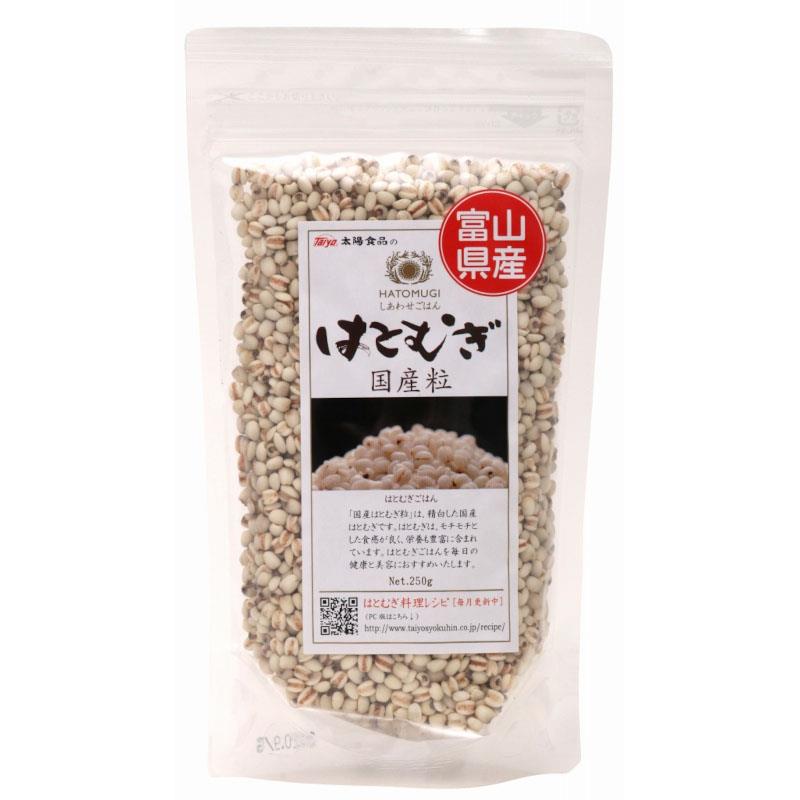 [䡧130500ѹ]ۿʡ񻺤ϤȤमγ250G