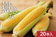 ���Ŀ����֤��� 20��