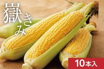 ���Ŀ����֤��� 10��