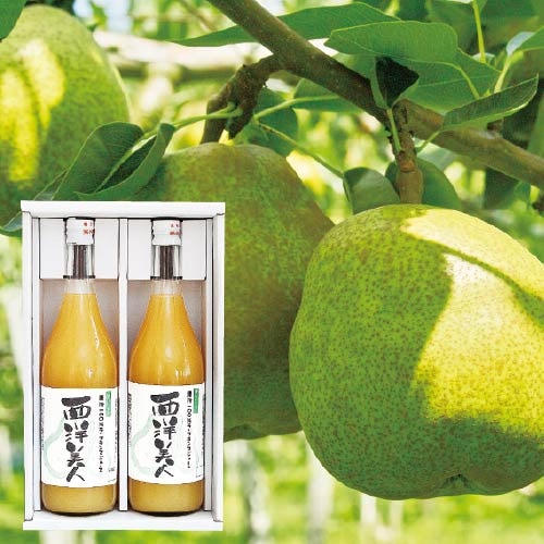 ڻ۴ݾĲ 顦ե󥹥塼  2