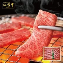 ڵܾۥ꡼ޡ  ӡҤȤơѥå