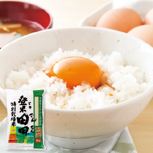 �ڵܾ�����̺����ƤҤȤ�ܤ��������� 5kg