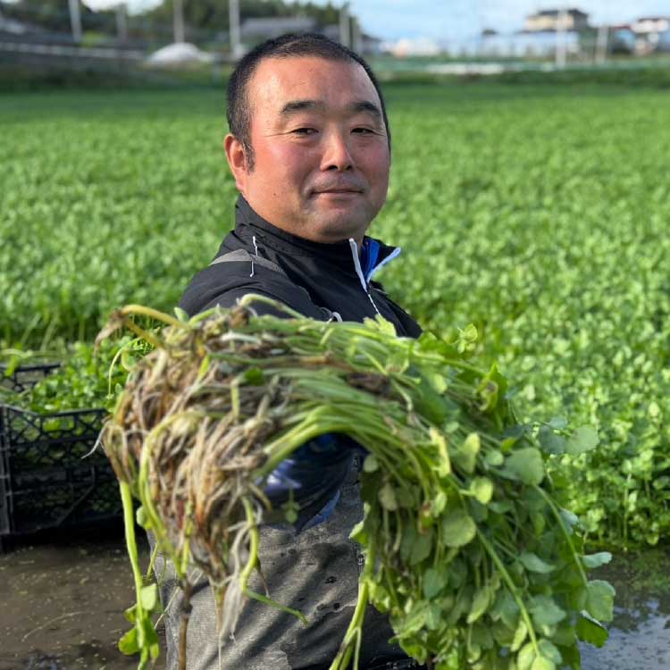 �ڵܾ�ۻ������� ��������ȤΤ����饻�å�(2-3����)