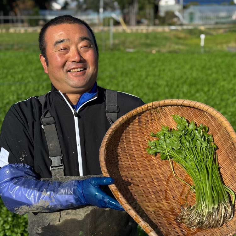 �ڵܾ�ۻ������� ��������ȤΤ����饻�å�(2-3����)