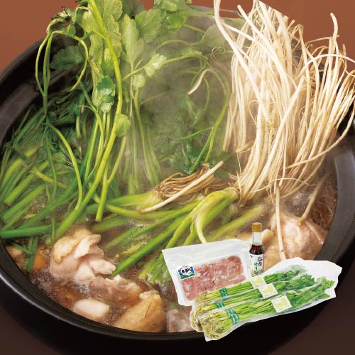 �ڵܾ�ۻ������� ��������ȤΤ����饻�å�(2-3����)