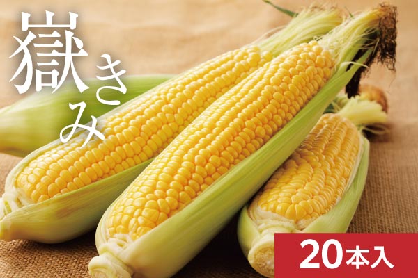 ���Ŀ����֤��� 20��