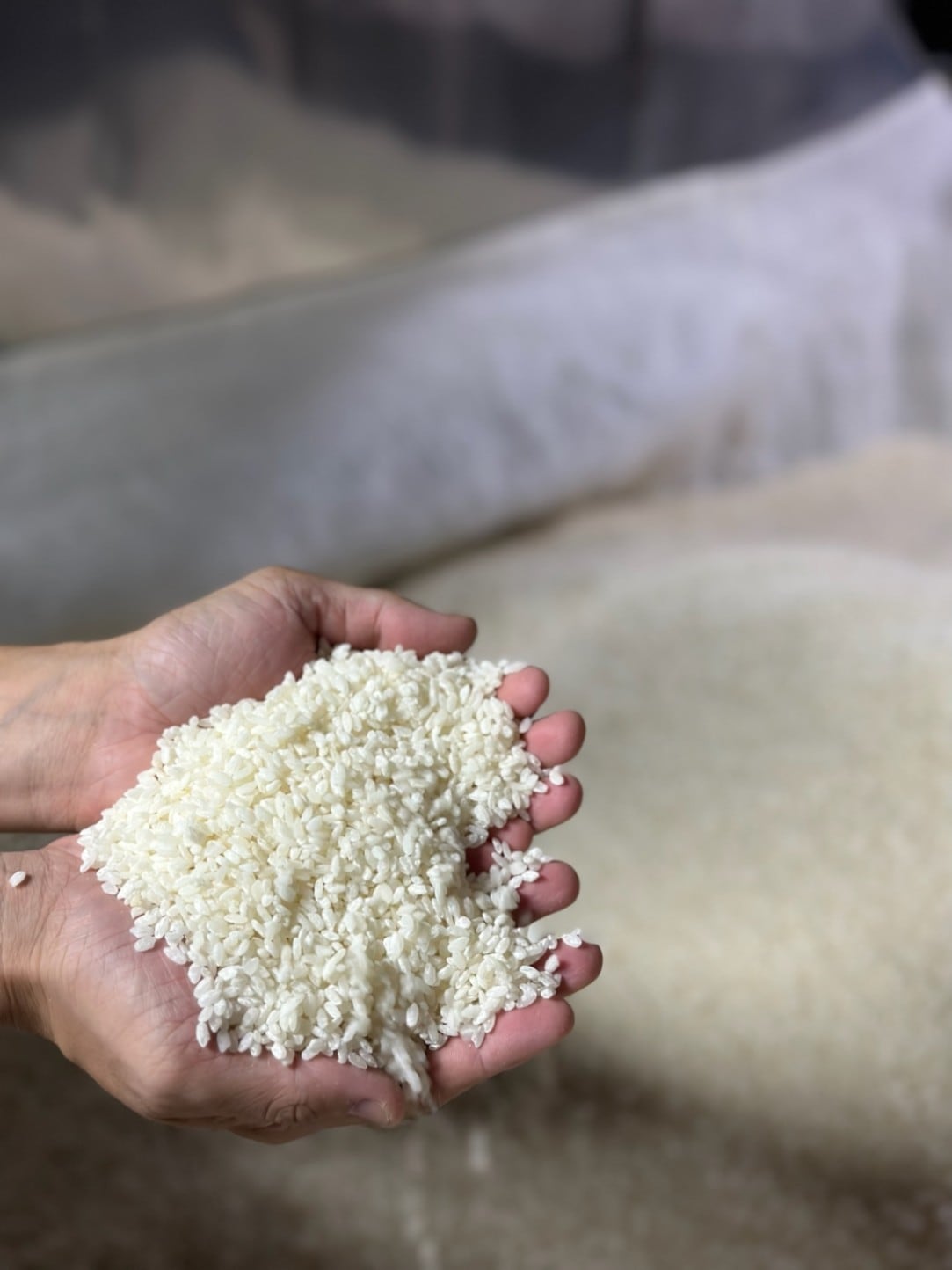 オーガニック芋焼酎】Hi Five （ハイファイブ） [25度] 1800ml