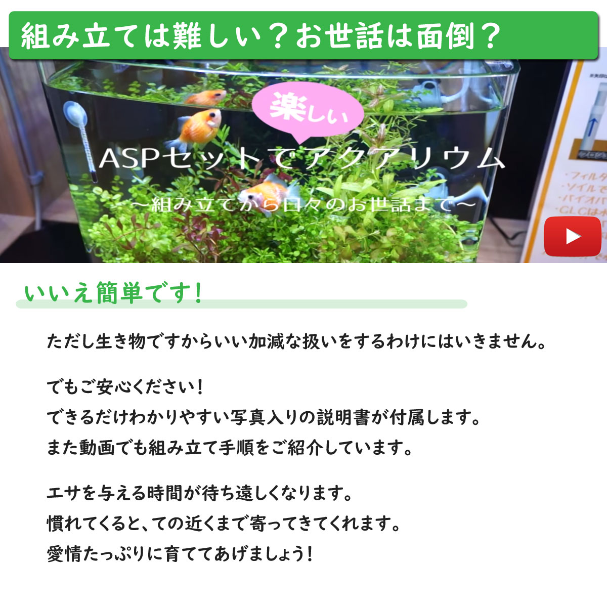 金魚王子 ホームアクアリウムオールセット 金魚:蝶尾 60cm水槽 飼育に必要なもの全てお届け 家族の団欒 インテリア 癒しに