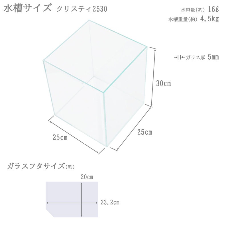 水槽 25cm ガラス水槽【25×25×30cm 16L】クリスティ 2530 25cm水槽