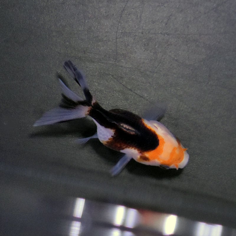 8/5 雄大様1　5台 賃貸オフィスビル情報｜事業について｜事業案内｜東京不動産管理