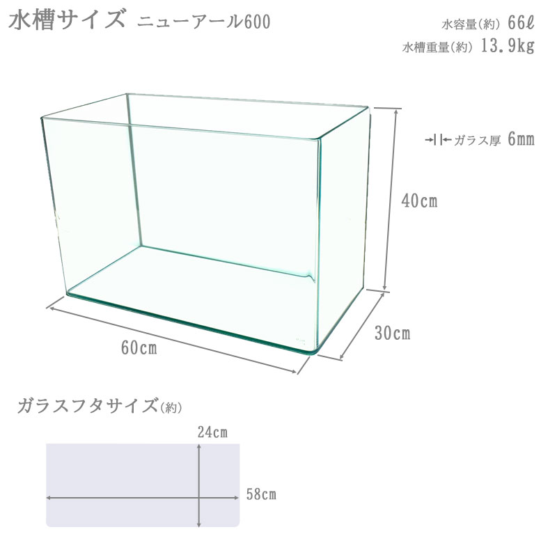 水槽 60cm ガラス水槽【60×30×40cm 66L】ニューアール600 NR600 60cm水槽 水槽 ガラス 蓋付き フタ受け付き 保護マット付き ガラス厚6mm アクアシステム 熱帯魚 金魚 メダカ 水草 ガラスふた 水槽 クリアガラス オールガラス 曲げガラス アクアリウム 用品 送料無料