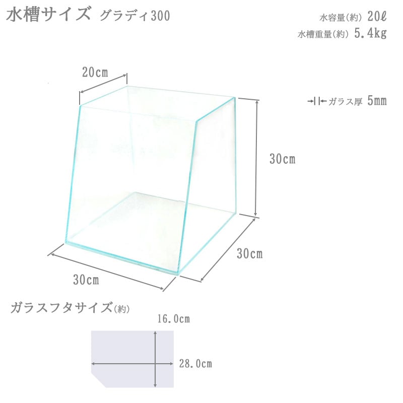 水槽 30cm ガラス水槽【30×20/30×30cm 20L】グラディ300 デザイナーズ
