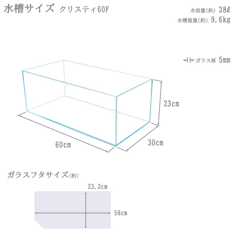 水槽 クリスティ60F (60×30×23cm 38L) アクアシステム 60cm水槽 超透明