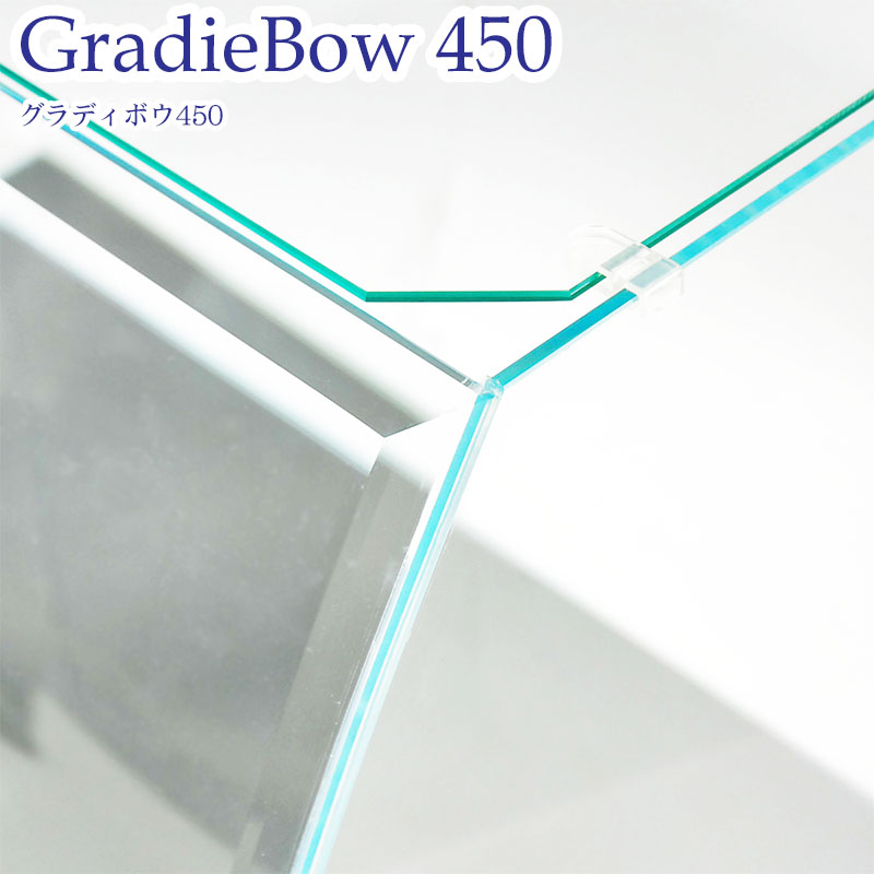 水槽 45cm ガラス水槽【45×上20/底30×30cm 30L】グラディボウ450