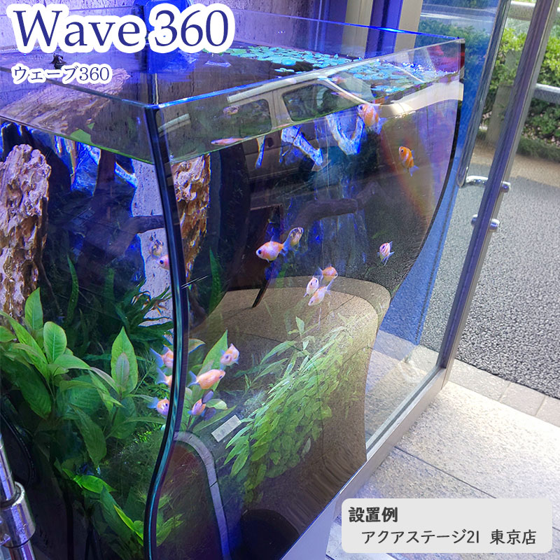 ガラス水槽　生体 水槽 36cm ガラス水槽【36×29.5/33×50cm 55L】ウェーブ 360 36cm水槽